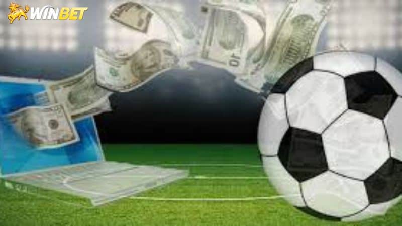 Mẹo cá cược thể thao winbet chuẩn nhất chỉ có tại Winbet