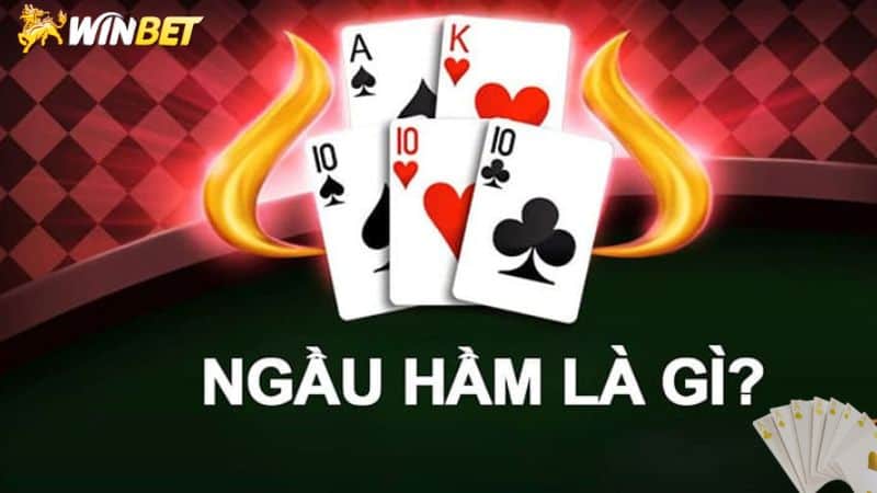 Hướng dẫn chơi ngầu hầm tại winbet cực chuẩn xác 2026