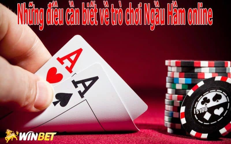 Hướng dẫn chơi ngầu hầm tại winbet cực chuẩn xác 2026