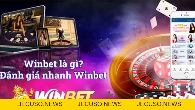 winbet có uy tín không? Đã dính phốt lừa đảo nào chưa?