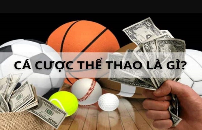 Cá cược thể thao có gì thú vị, chơi như thế nào dễ thắng?