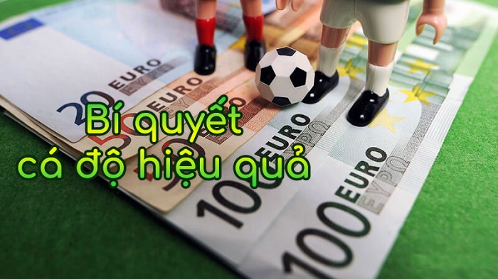 Cá cược thể thao có gì thú vị, chơi như thế nào dễ thắng?